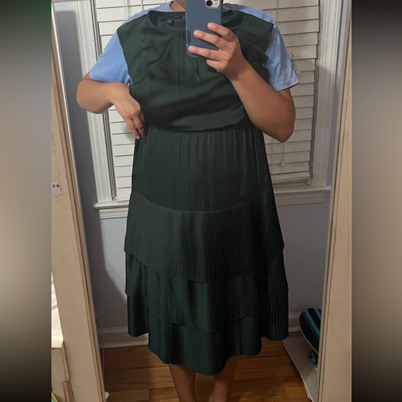 Banana Republic Elegant Green Pleated Dress - Picture 5 of 6